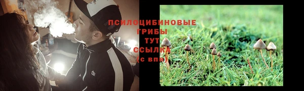 стаф Балахна