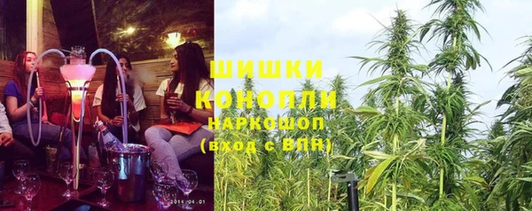 прущие грибы Осинники