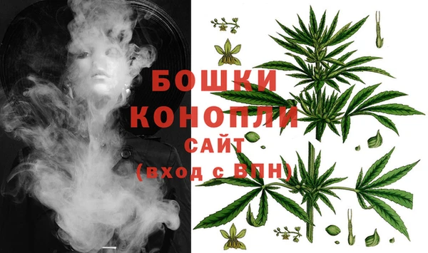 гидра Армянск